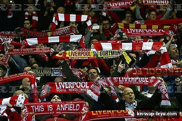 用户常见的问题解答?